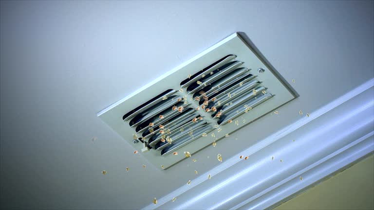 Best HVAC Duct Inspection Services  in Wylie, TX