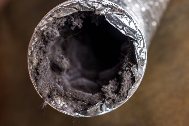 Best Best Air Duct Cleaning Company  in Wylie, TX