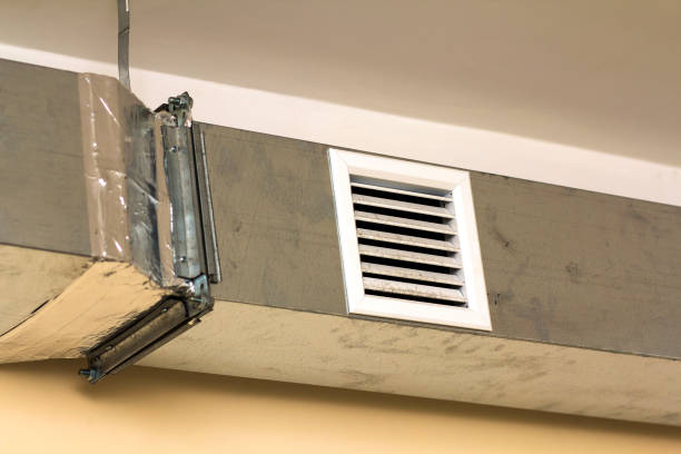 Best Air Duct Mold Removal  in Wylie, TX